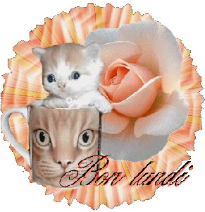 Gif animé Bon lundi chat